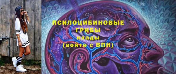 прущий лед Алексин