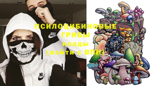 ГАЛЛЮЦИНОГЕННЫЕ ГРИБЫ Алзамай