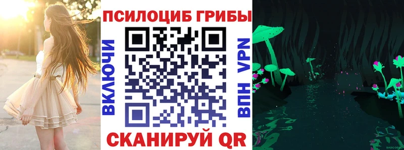 где найти   Слободской  Псилоцибиновые грибы мицелий 